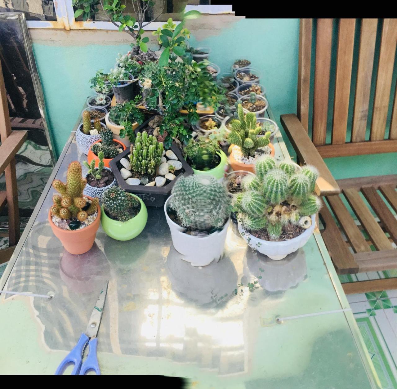 Nha Minh Homestay Ντα Νανγκ Εξωτερικό φωτογραφία